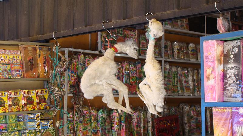 La Paz Steves (32).JPG